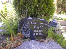 k06_pieni.jpg (25295 bytes)